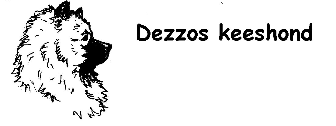 Dezzos keeshond